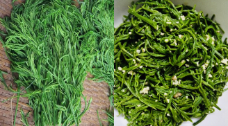 Rau thối Tây Bắc: Đặc sản “mùi lạ” gây tò mò, lên bàn ăn Hà Nội giá cao vẫn cháy hàng