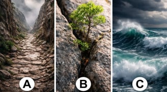 Quiz: Chọn 1 hình ảnh tiết lộ con người thật khi gặp khó khăn