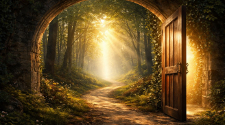 Quiz: Bạn nhìn thấy gì đầu tiên sẽ tiết lộ cơ hội lớn sắp tới đang chờ bạn ở đâu