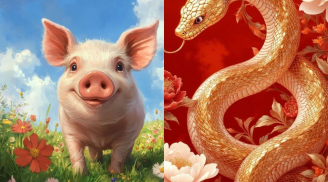 Tháng 3 cảnh báo: Tình cảm rạn nứt gây hao tài, 3 con giáp này cần đặc biệt giữ gìn các mối quan hệ