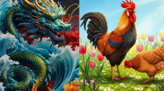 Tuần đầu tháng 3 (2-8/3): 3 tuổi đón lộc lớn, 1 tuổi gặp vận rủi bất ngờ cần giữ bình tĩnh