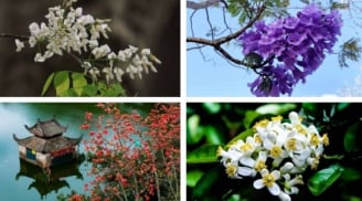 Trắc nghiệm: Món quà bất ngờ tháng 3 bạn sắp nhận được là gì?