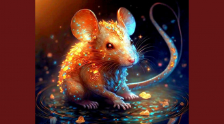 Từ giữa tháng 3 dương lịch: 3 con giáp tăng tốc mạnh mẽ, chăm chỉ là giàu sang thẳng tiến