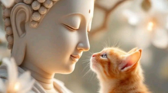  Có Phật dẫn lối, 3 con giáp càng bình tĩnh càng sáng suốt, không tranh giành vẫn gặp vận may lớn