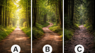 Quiz: Chọn một con đường: Bạn đang tiến gần thành công hay đã đến lúc đổi hướng?