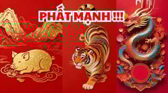 Cá Chép Vượt Vũ Môn: 3 con giáp khổ ải qua đi, Tiền tỷ tự đến