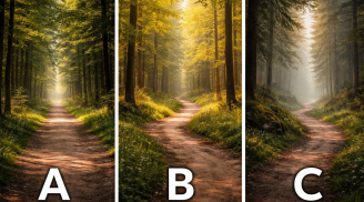 Quiz: Nhìn 3 con đường vắng, bạn chọn lối nào? Lựa chọn tiết lộ bản lĩnh thật sự của bạn