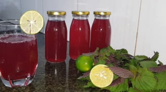 5 lý do bạn nên uống nước tía tô mỗi ngày