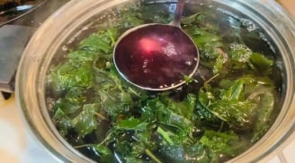 Cách nấu nước lá tía tô uống giảm cân, thải độc cơ thể