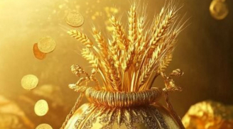 3 con giáp có vận tiền cực đỏ trong 10 ngày tới: Càng dám nhận việc khó, cơ hội càng dễ giàu