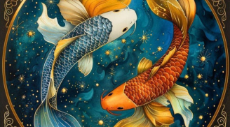 3 cung hoàng đạo trầm tính, ít nói nhưng nhìn thấu lòng người