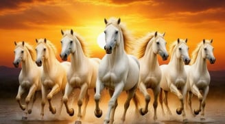 Sau ngày 8/3, vận đào hoa mở lối: 3 con giáp được quý nhân nâng đỡ, công việc bứt tốc