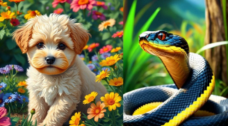 Sống hết mình vì người khác, 3 con giáp từng chịu thiệt thòi nhưng hậu vận lại hưởng phúc lớn