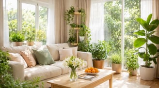 Trong nhà xuất hiện những dấu hiệu nhỏ này, gia đình sắp có tin vui