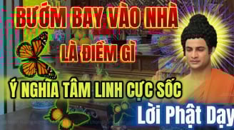 3 dấu hiệu vào buổi tối chứng tỏ nhà bạn sắp may mắn lớn về tiền tài, công danh