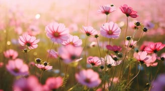 5 ngày sinh âm lịch của người dễ giàu có sau 40 tuổi: Nhanh nhẹn, tháo vát, giỏi xông pha