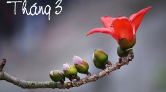 Tháng Ba có gì đặc biệt, số 3 may mắn hay xui xẻo? Bạn thấy số 3 trong đời sống mình thế nào?