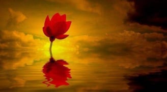 7 điều luôn hiện hữu trong đời sống mỗi người, bạn nên biết để sống bình an