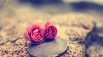 Bạn nghĩ điều gì là quan trọng nhất trong cuộc sống? Tiền bạc, tình yêu hay cuộc sống?