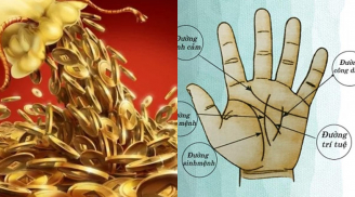 Nếu lòng bàn tay xuất hiện đường vân nhỏ này là dấu hiệu phát tài, hậu vận sung túc