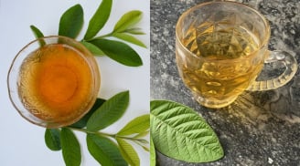 Cách uống nước lá ổi giảm mỡ bụng, giúp eo thon, giảm cân nhanh