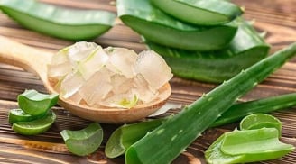 Chiết xuất lô hội và những lợi ích nổi bật trong chăm sóc làn da