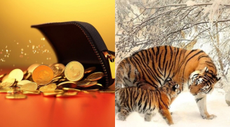 Vượt Tam Tai, 3 năm tới (2026-2029): 4 con giáp giàu nhanh hơn giá vàng tăng, tiền đếm không xuể