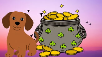 3 con giáp xoay chuyển vận mệnh trong năm nay: Càng về cuối năm càng bật mạnh, tiền bạc tăng tốc rõ rệt