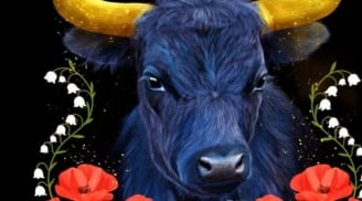 Từ 15–25/3: 3 cung hoàng đạo càng chăm chỉ càng dễ thấy tiền về, có khoản lớn bất ngờ