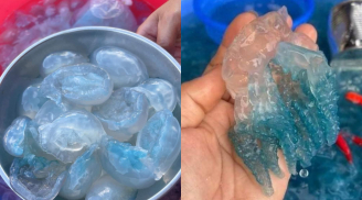 Một đặc sản Huế bỗng “gây sốt” mỗi dịp đầu năm: Màu xanh trong veo lạ mắt, ai từng ăn đều nhớ