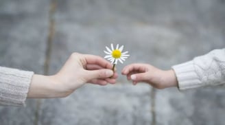 Quý nhân có thể ở quanh ta, bạn không phải tìm đâu xa