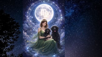 Thứ Hai 16/3: 3 cung hoàng đạo làm việc chu đáo càng dễ được cấp trên chú ý, mở cơ hội thăng tiến