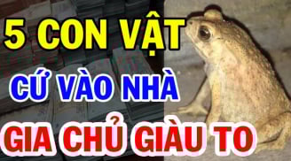 5 con vật vào nhà Thần Tài ghé thăm: Càng ở lâu càng giàu có