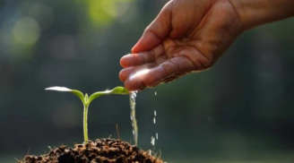 Có 4 quy luật mà cuộc sống mang lại phước lớn, ai làm được 1 điều thôi cũng đủ tốt rồi