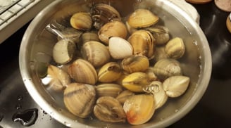 Mẹo làm ngao nhả sạch cát chỉ mất 15 phút