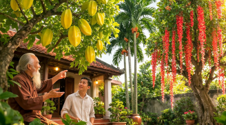 Tổ tiên dặn: Trong nhà có 3 loại cây này đừng vội chặt kẻo dễ hao lộc, mất may mắn