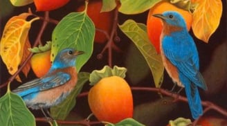 4 tháng sinh âm lịch của người có khí chất nổi bật: Càng về sau càng thành công rực rỡ