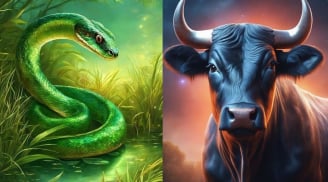 Chạy trời không thoát: 4 con giáp số định tỷ phú, càng già càng giàu