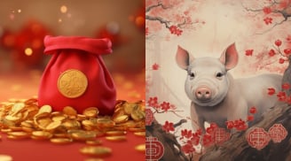 Gọi tên 4 con giáp được 'trời chọn': Tiền vào như nước, tài khoản có thể 'nhảy số' gấp 10, đổi đời ngoạn mục