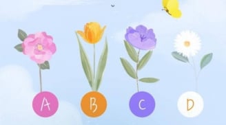 Trắc nghiệm năm 2026: Cuộc sống của bạn sẽ nhàn nhã, êm ả hay vất vả?