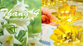 Vận may ập đến từ 1/4: 3 con giáp này sẽ hết khổ, không còn lo chuyện tiền nong, càng làm càng ra tiền