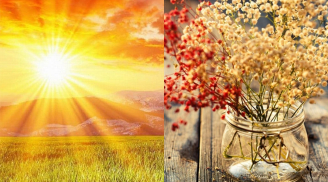 Đúng ngày đại cát 2/2 âm lịch: Làm 5 việc này, cả năm tài lộc hanh thông, ai cũng nên biết