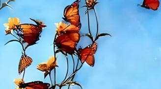 Trắc nghiệm hình ảnh: Điều bạn nhìn thấy đầu tiên tiết lộ bước ngoặt tương lai chính xác bất ngờ