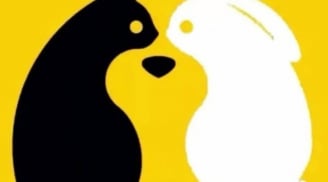 Trắc nghiệm tâm lý: Hình ảnh bạn nhìn thấy đầu tiên tiết lộ tính cách và tương lai của bạn