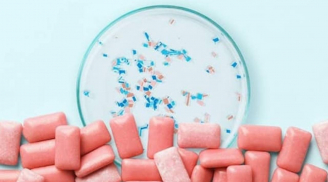 5 loại thực phẩm chứa nhiều vi nhựa nhất, loại đầu tiên khiến người Việt bất ngờ