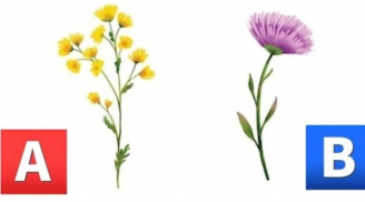 Trắc nghiệm tâm lý: Khám phá tương lai mười năm tới của bạn chính xác nhất