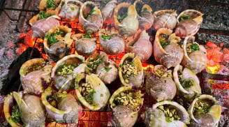 Ốc tỏi miền Tây gây sốt: Đặc sản biển lạ miệng từ An Giang đến Cà Mau khiến du khách săn tìm