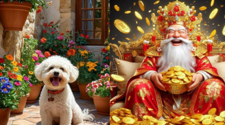 Từ nay đến hết tháng 4 âm lịch: Thổ công nâng đỡ 3 tuổi cung điền trạch bật sáng, lộc đất đai tơi bời
