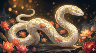 4 con giáp được Thần Tài “chấm sổ” năm Ngọ: Tiền vào như nước suốt 4 mùa