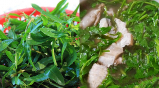 Cây dại ven bờ bỗng thành “đặc sản”: Loại rau lạ từng cho gia súc ăn, nay bán giá cao vẫn cháy hàng